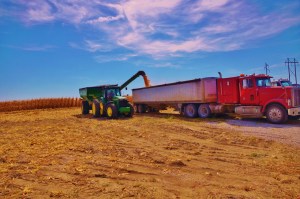 Grain Cart Unloading into Semi