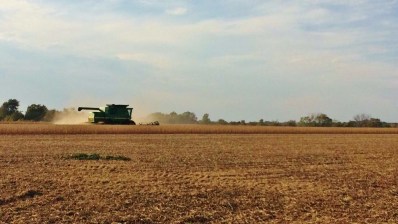 Bean Harvest (1024x578)